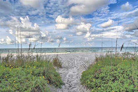 madura pete|Madeira Beach .